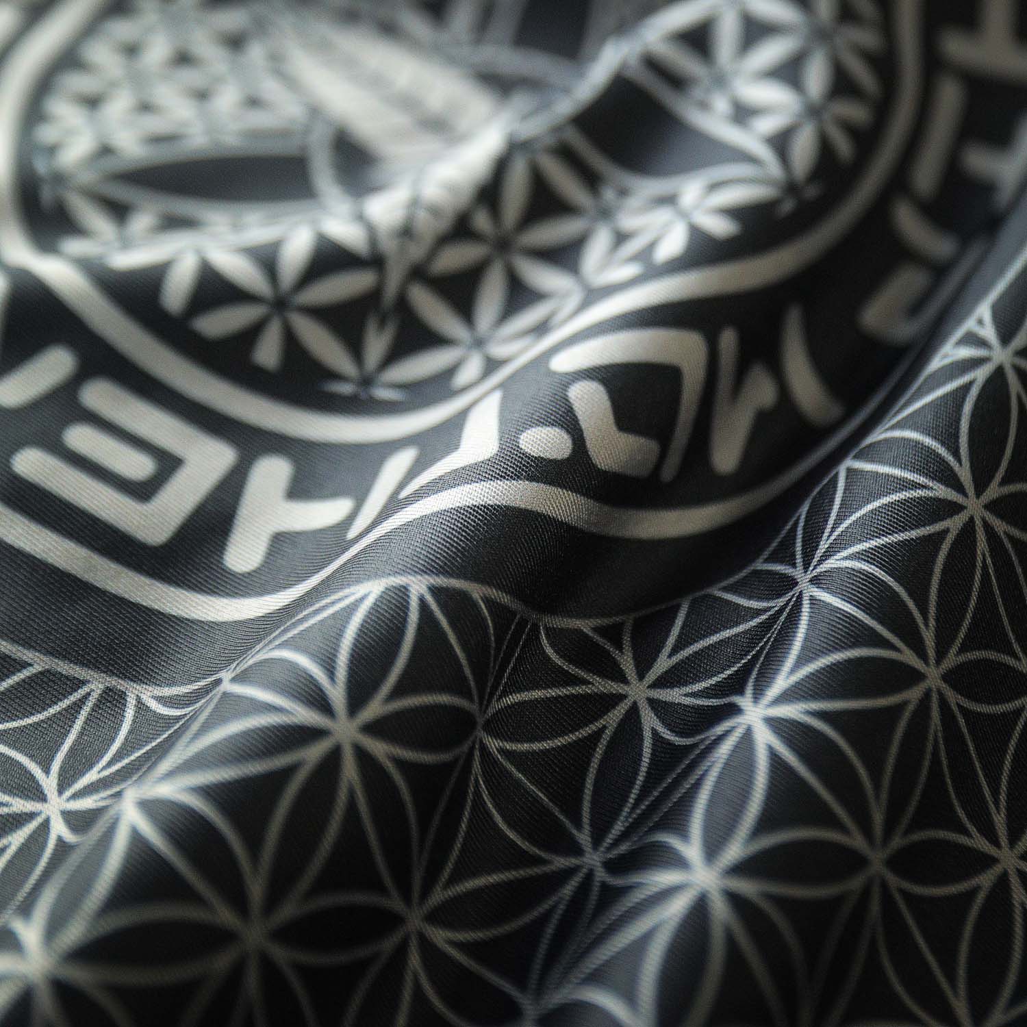 Dark Matter Reversible Hoodie