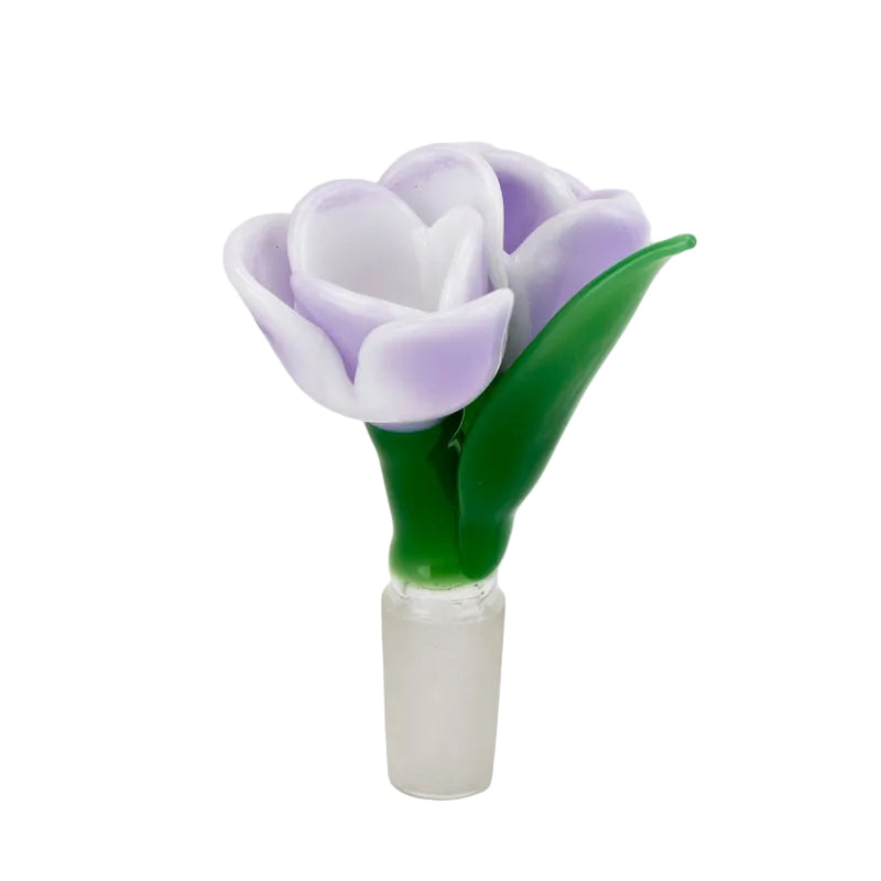 Lavender Tulip Slide