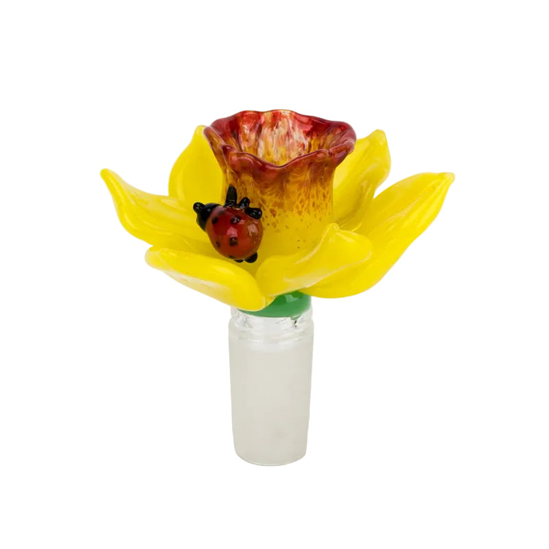 Daffodil Slide