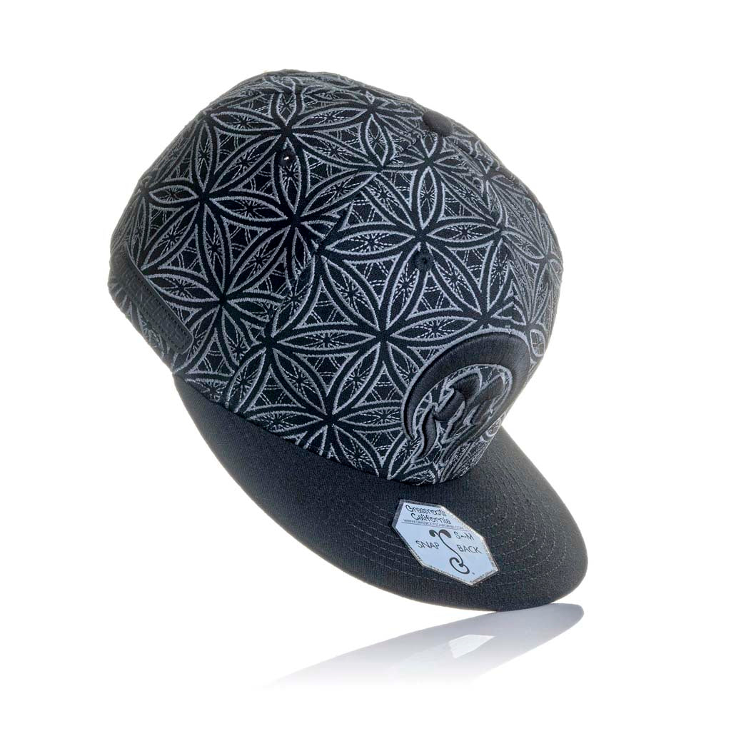 Grassroots x Mothership Snapback