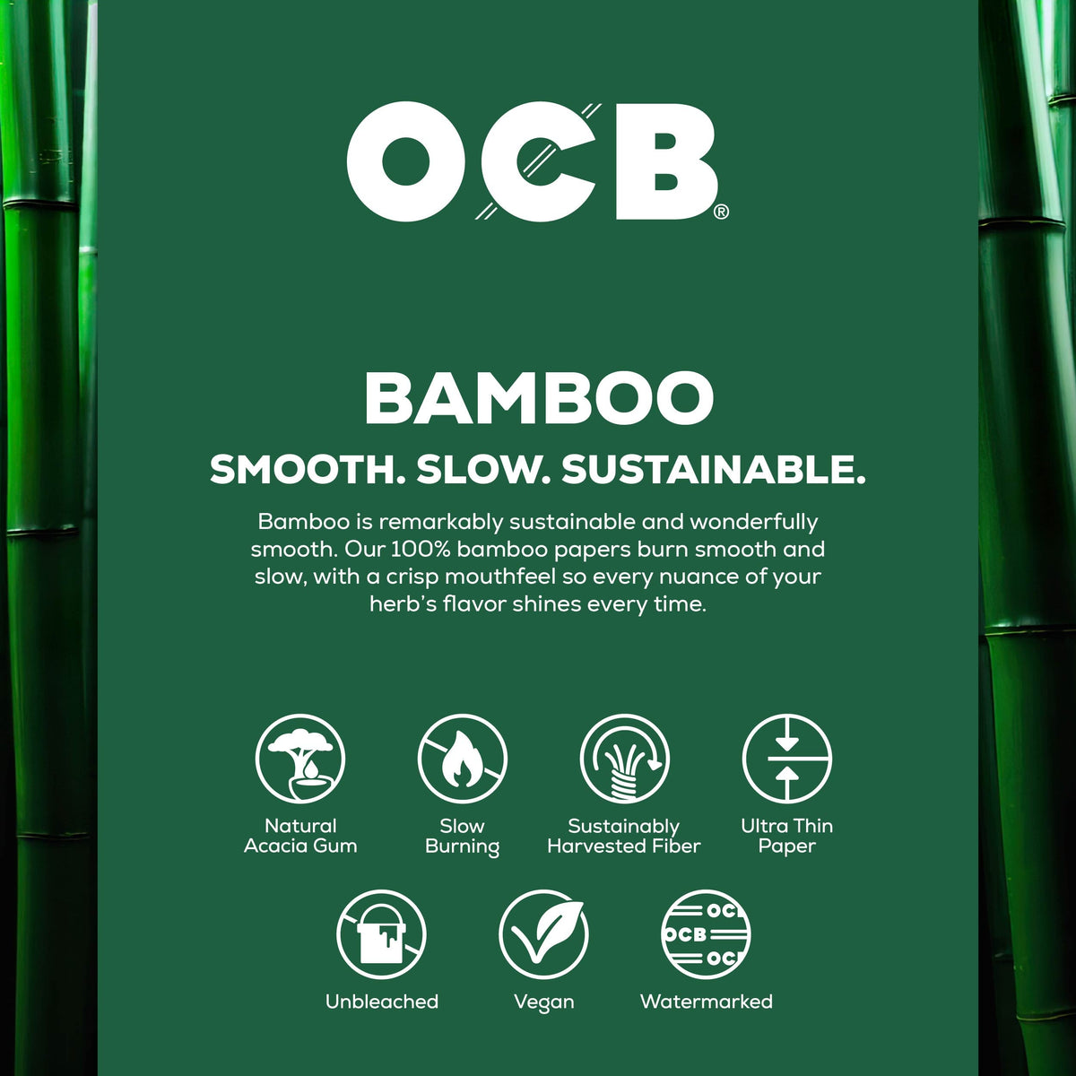 Bamboo Cones
