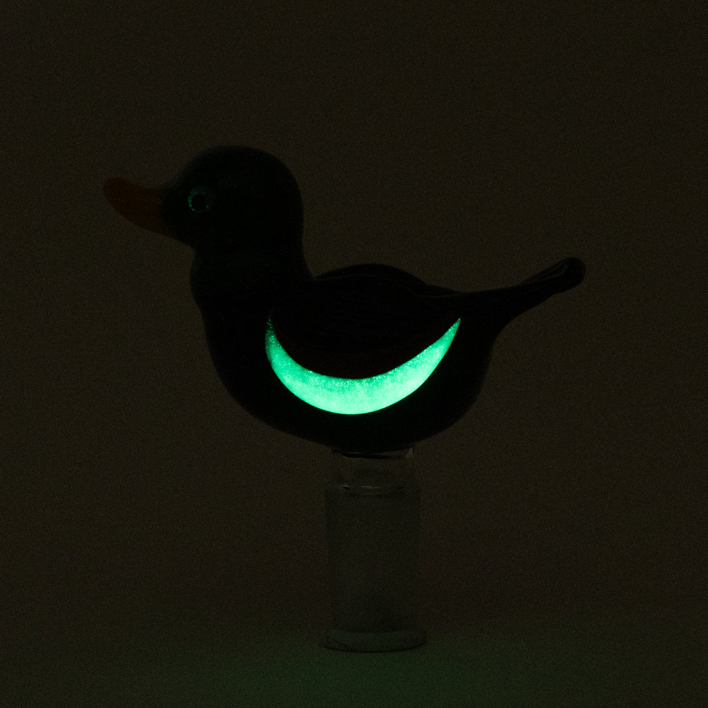 Duck Slide