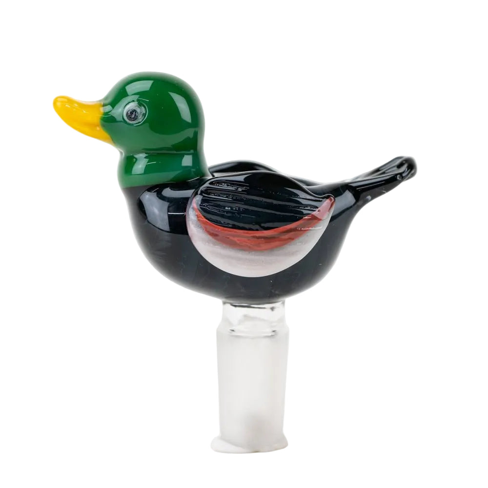 Duck Slide