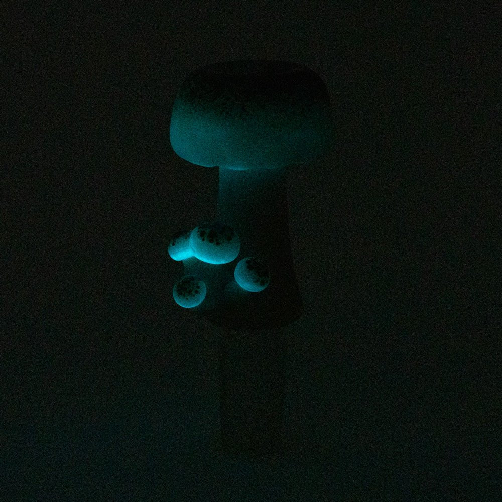 Funglow Slide