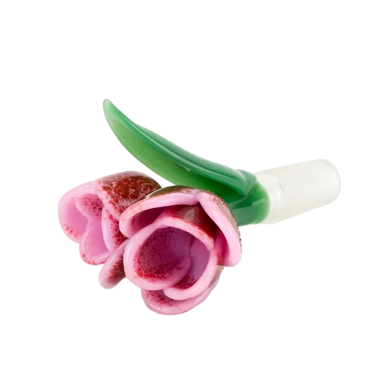 Strawberry Cream Tulip Slide