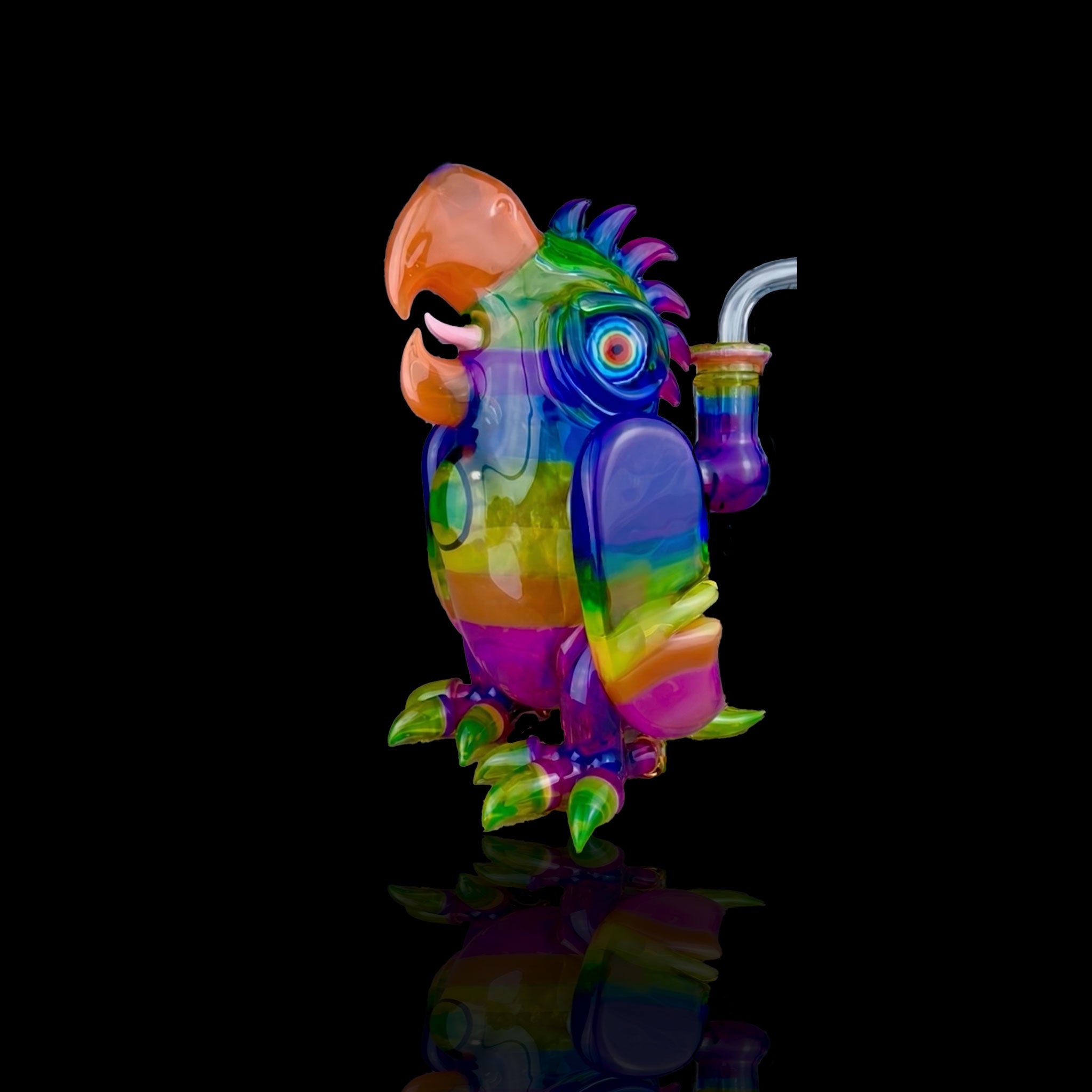 Rainbow Fade Macaw