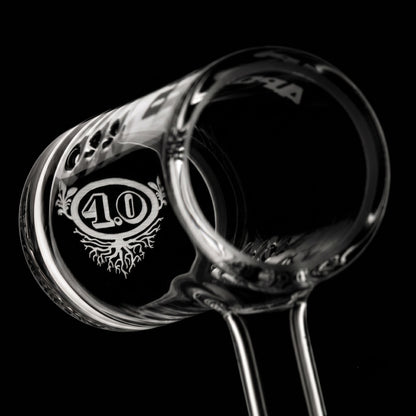 T6
