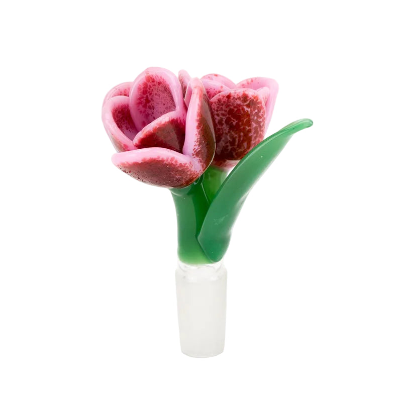 Strawberry Cream Tulip Slide