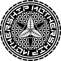 Mothership glass transparent logo logo