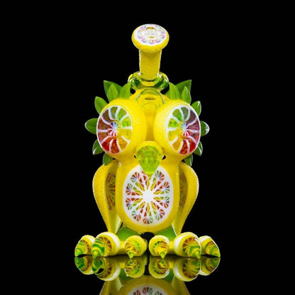 Citrus Owl