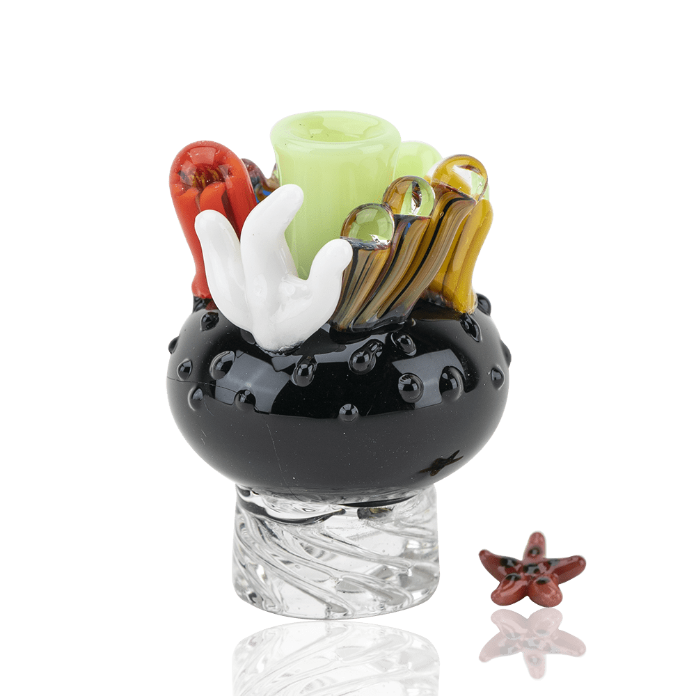 Coral Reef Spinner Cap