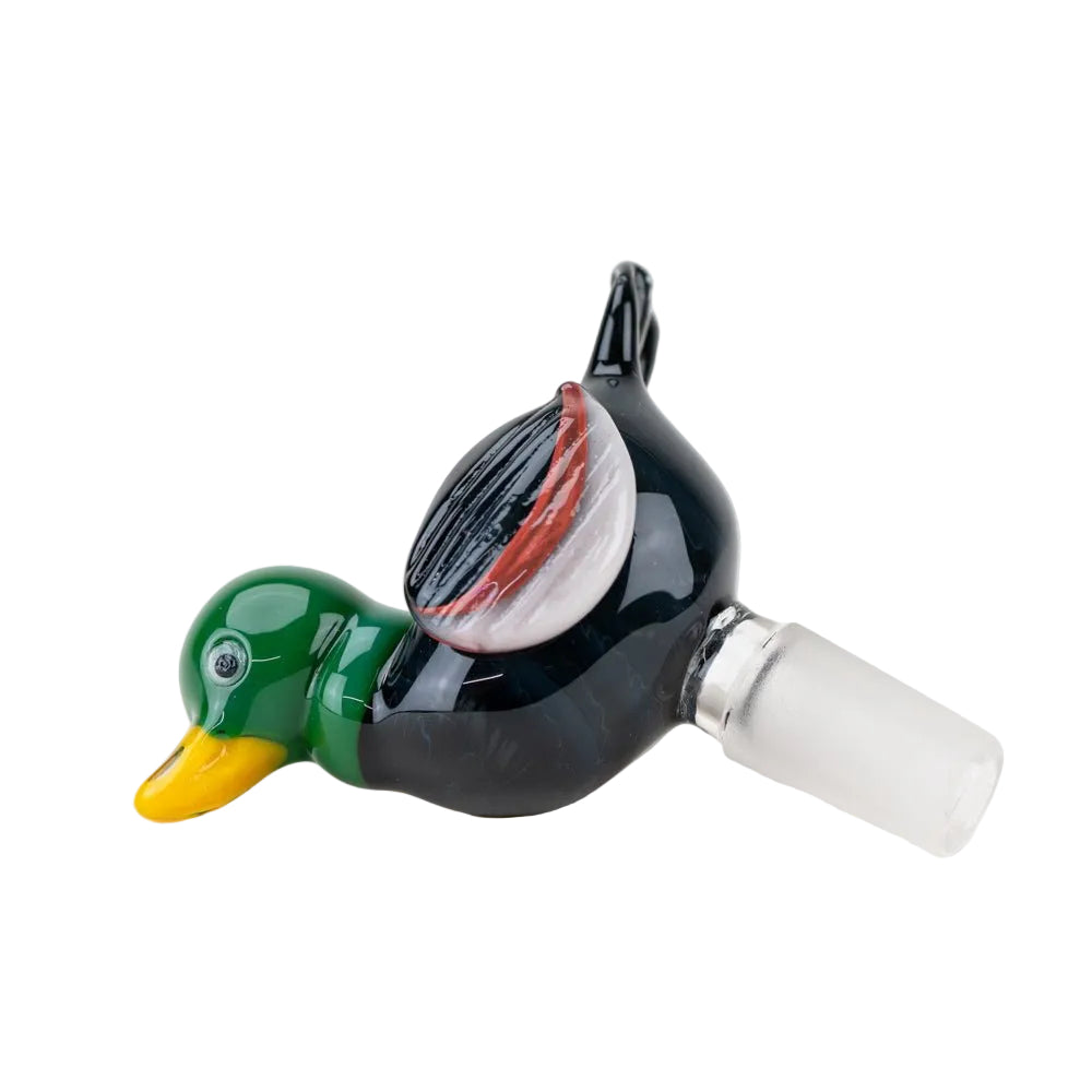 Duck Slide