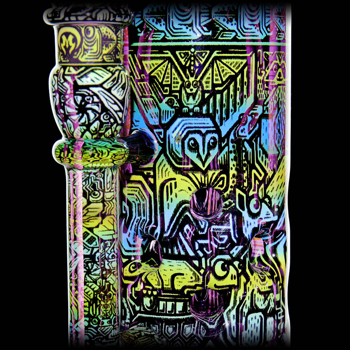 Creature Connections SFT
