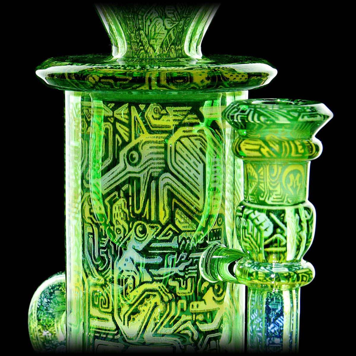Creature Connections Klein