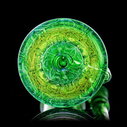 Creature Connections Mini Torus