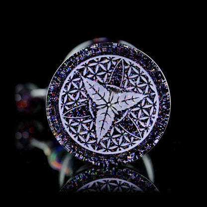 Opal Aura Shift Nova Cup