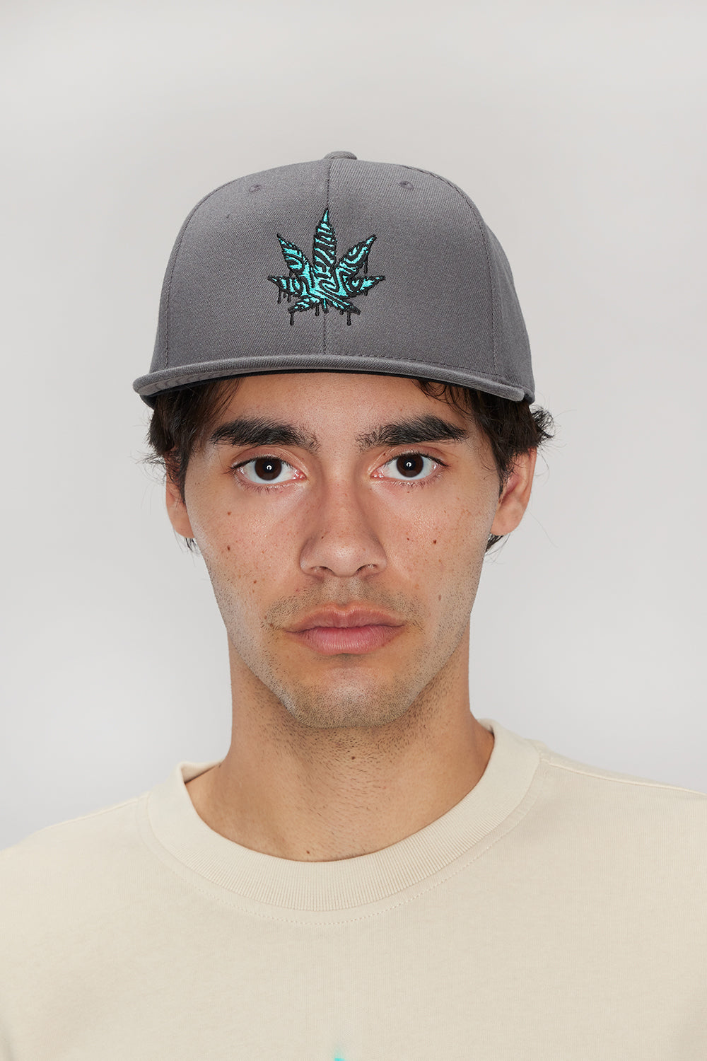 weedmaps snapback gray