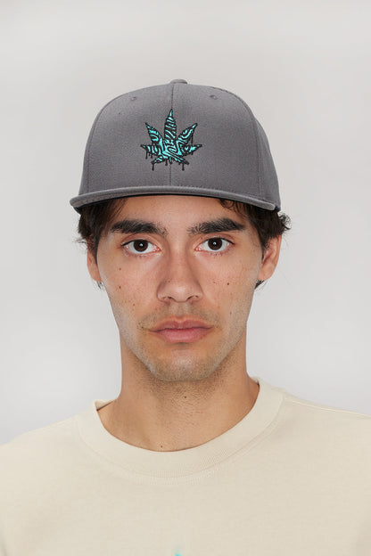 weedmaps snapback gray