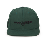 Classic Snapback V2 - Green